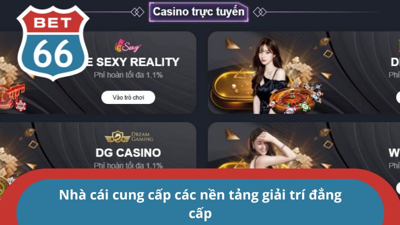 Nhà cái cung cấp các nền tảng giải trí đẳng cấp