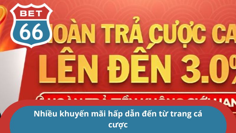 Nhiều khuyến mãi hấp dẫn đến từ trang cá cược